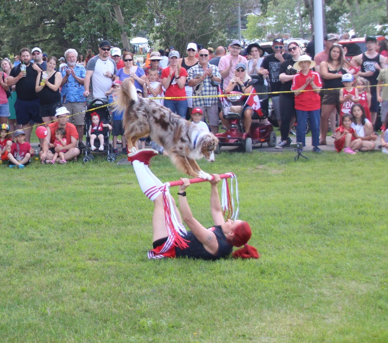 Worldrenowned, recordsetting dog show coming to Strathmore